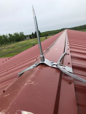 Trainer Lightning rods by Tom McDonald Contracting